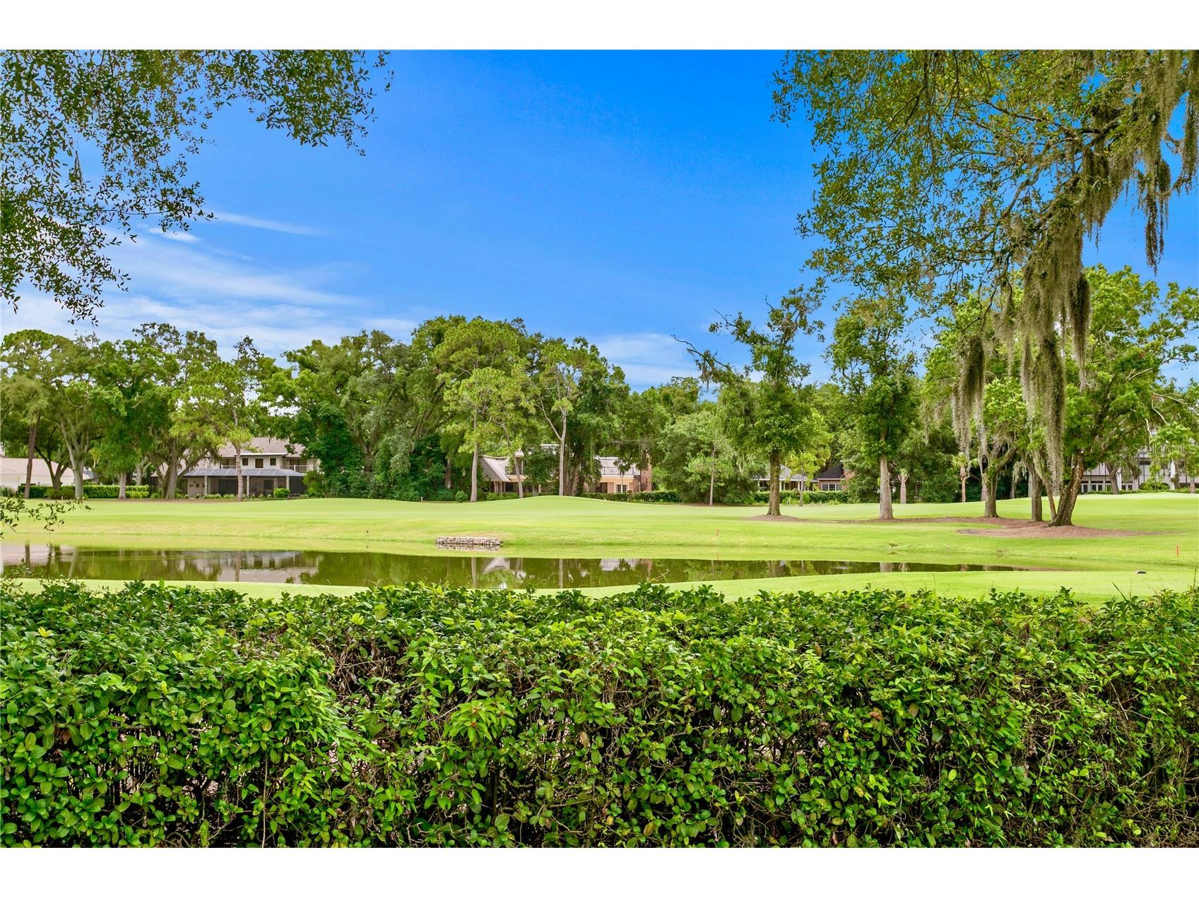 16601 Avila Boulevard Tampa FL 33613 TB8514072 image43