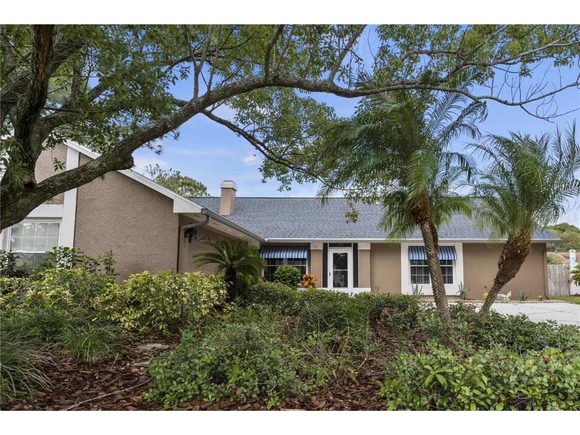 16602 Mandy Lane Tampa FL 33618 T3476643 image1