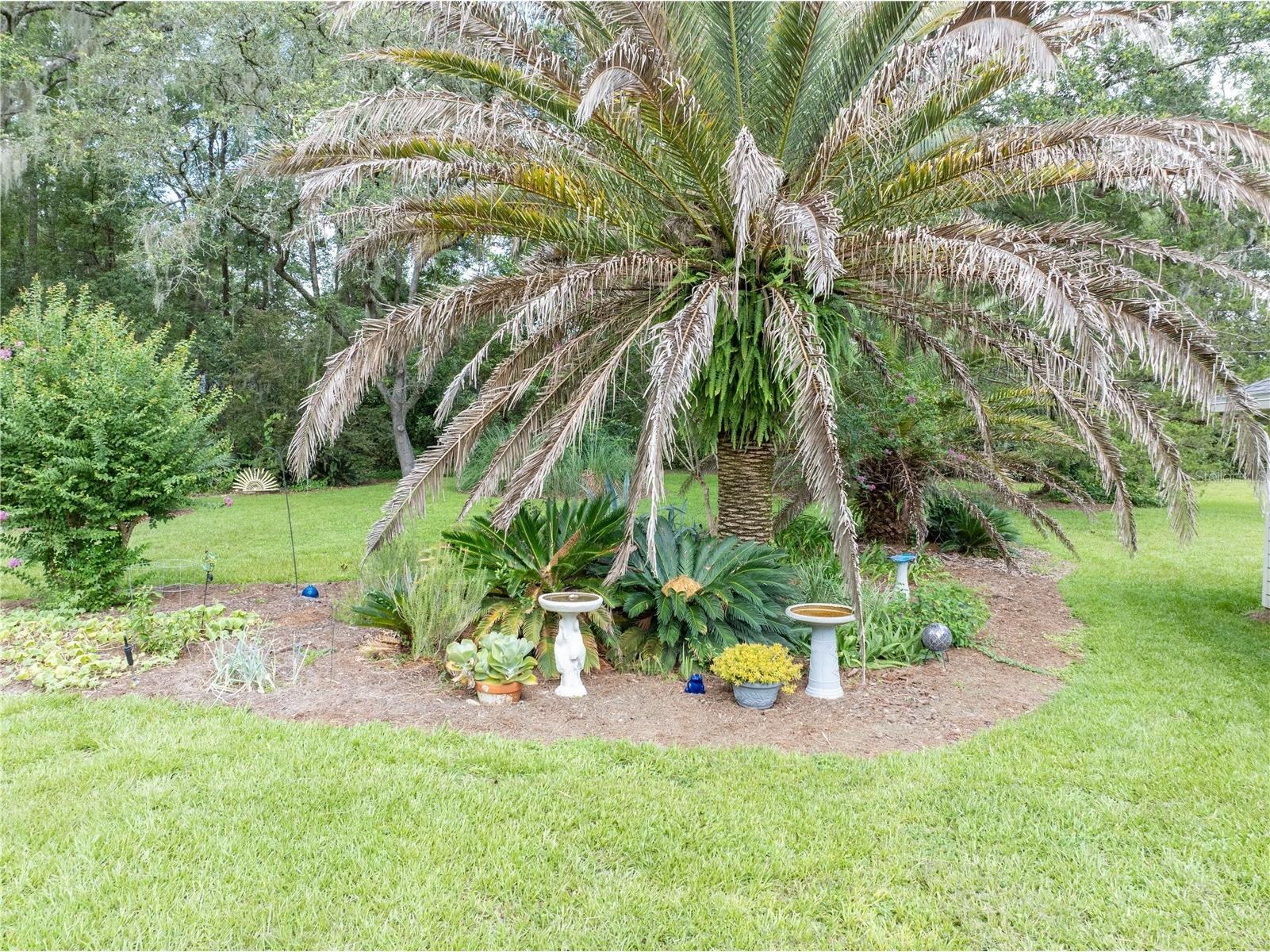16603 SW 15th Avenue Newberry FL 32669 GC541711 image27