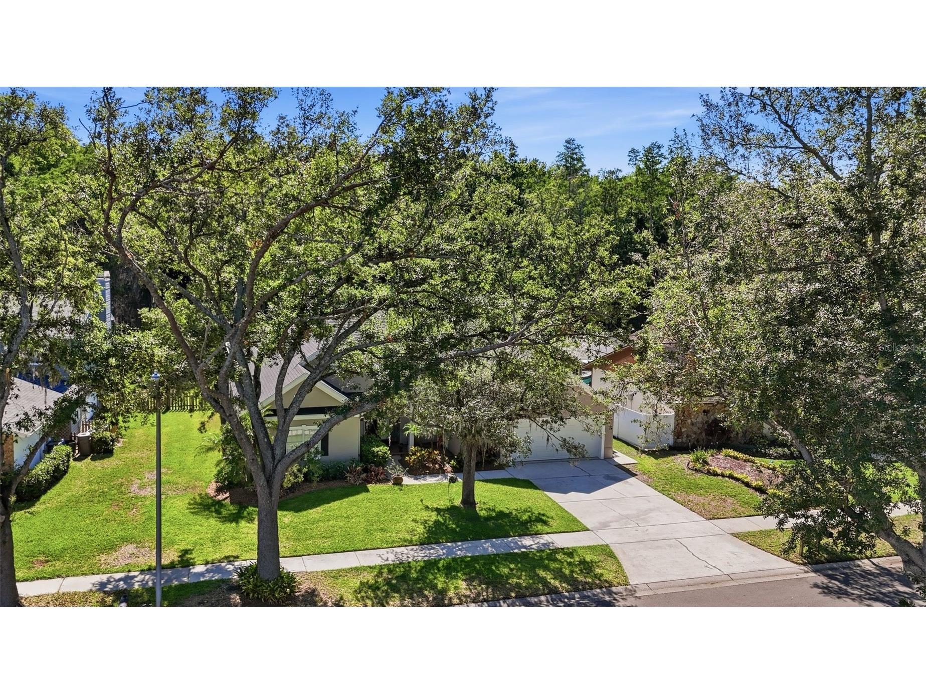 16604 E Course Drive Tampa FL 33624 TB8512591 image35