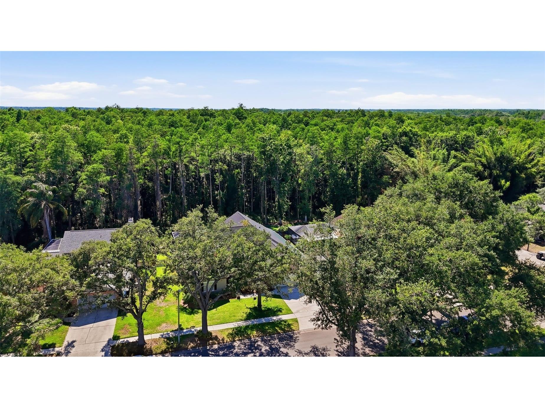 16604 E Course Drive Tampa FL 33624 TB8512591 image36