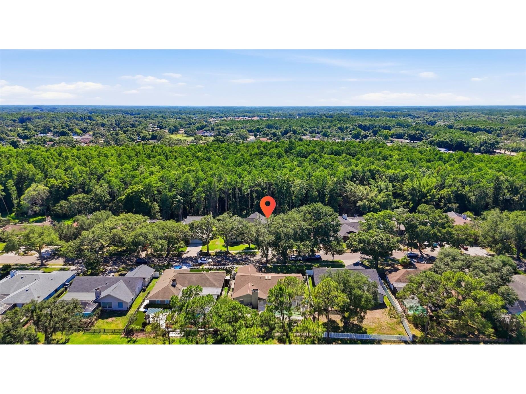 16604 E Course Drive Tampa FL 33624 TB8512591 image37