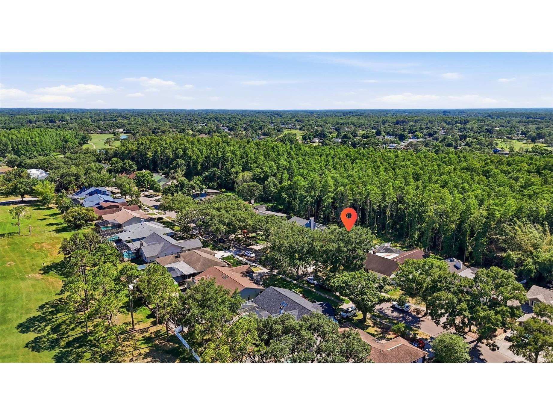 16604 E Course Drive Tampa FL 33624 TB8512591 image38