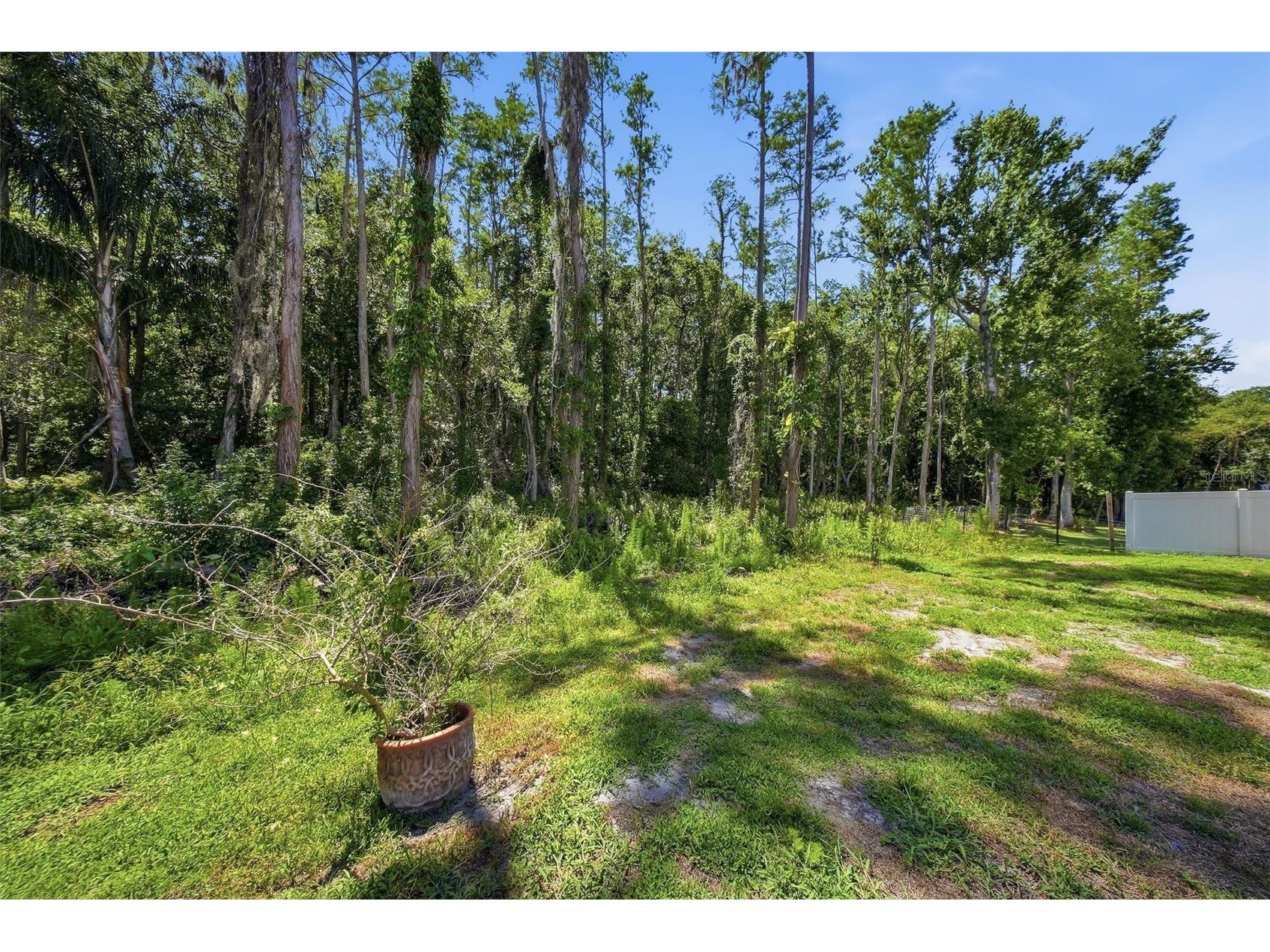 16604 E Course Drive Tampa FL 33624 TB8512591 image64