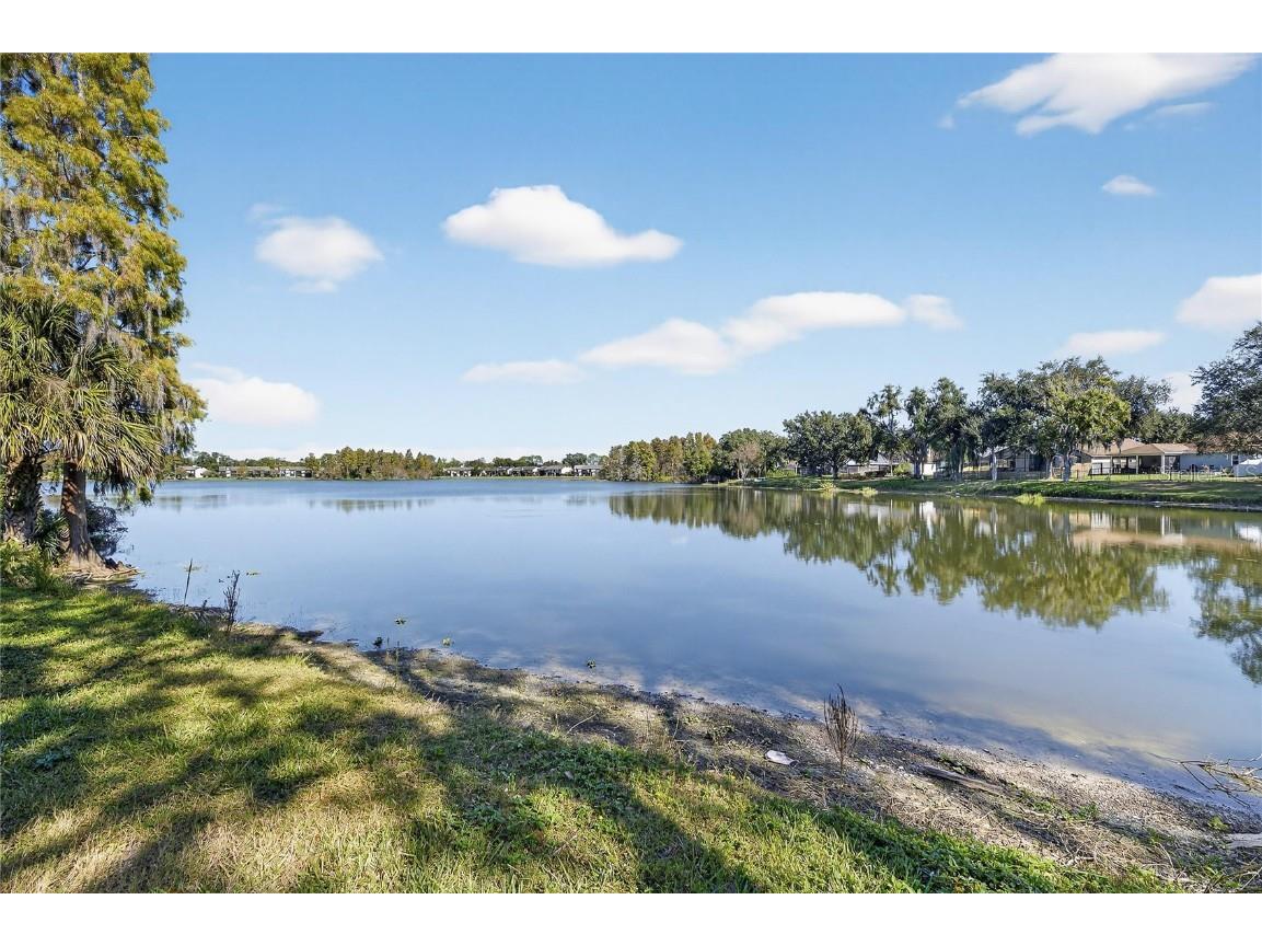 16604 Lake Heather Drive Tampa FL 33618 TB8451972 image56