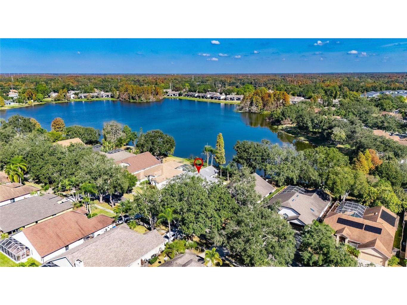 16604 Lake Heather Drive Tampa FL 33618 TB8451972 image76