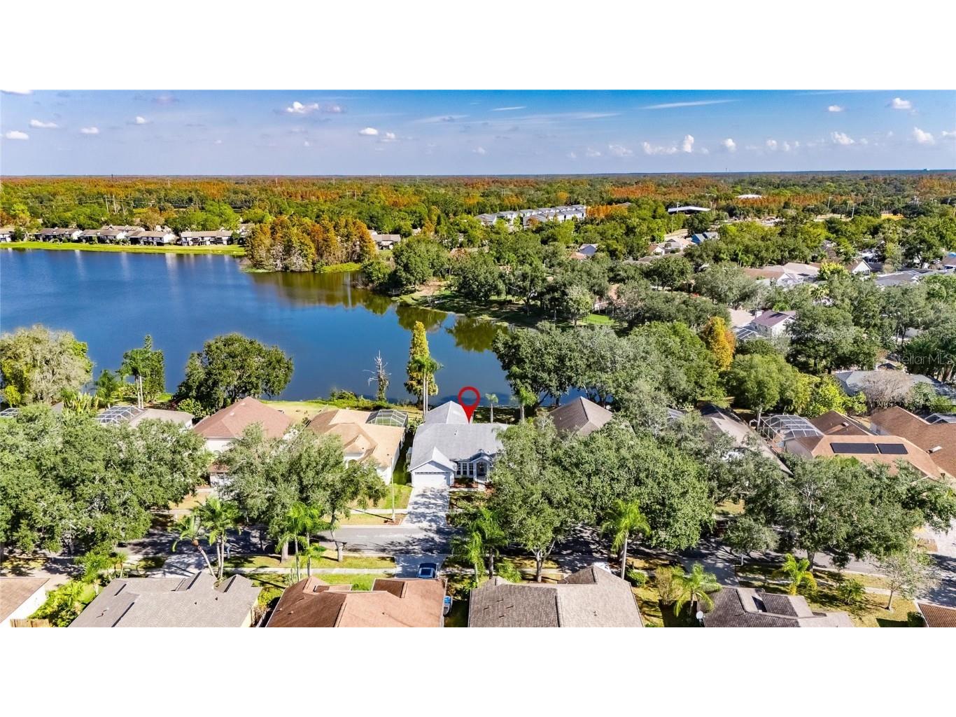 16604 Lake Heather Drive Tampa FL 33618 TB8451972 image77