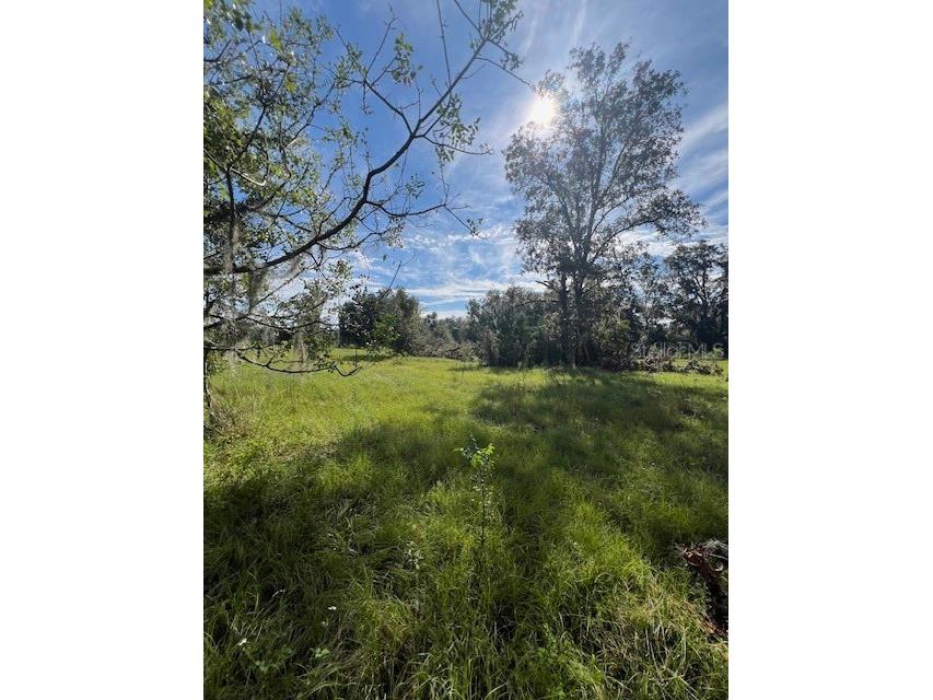 16604 NW State Road 45 High Springs FL 32643 GC518437 image11