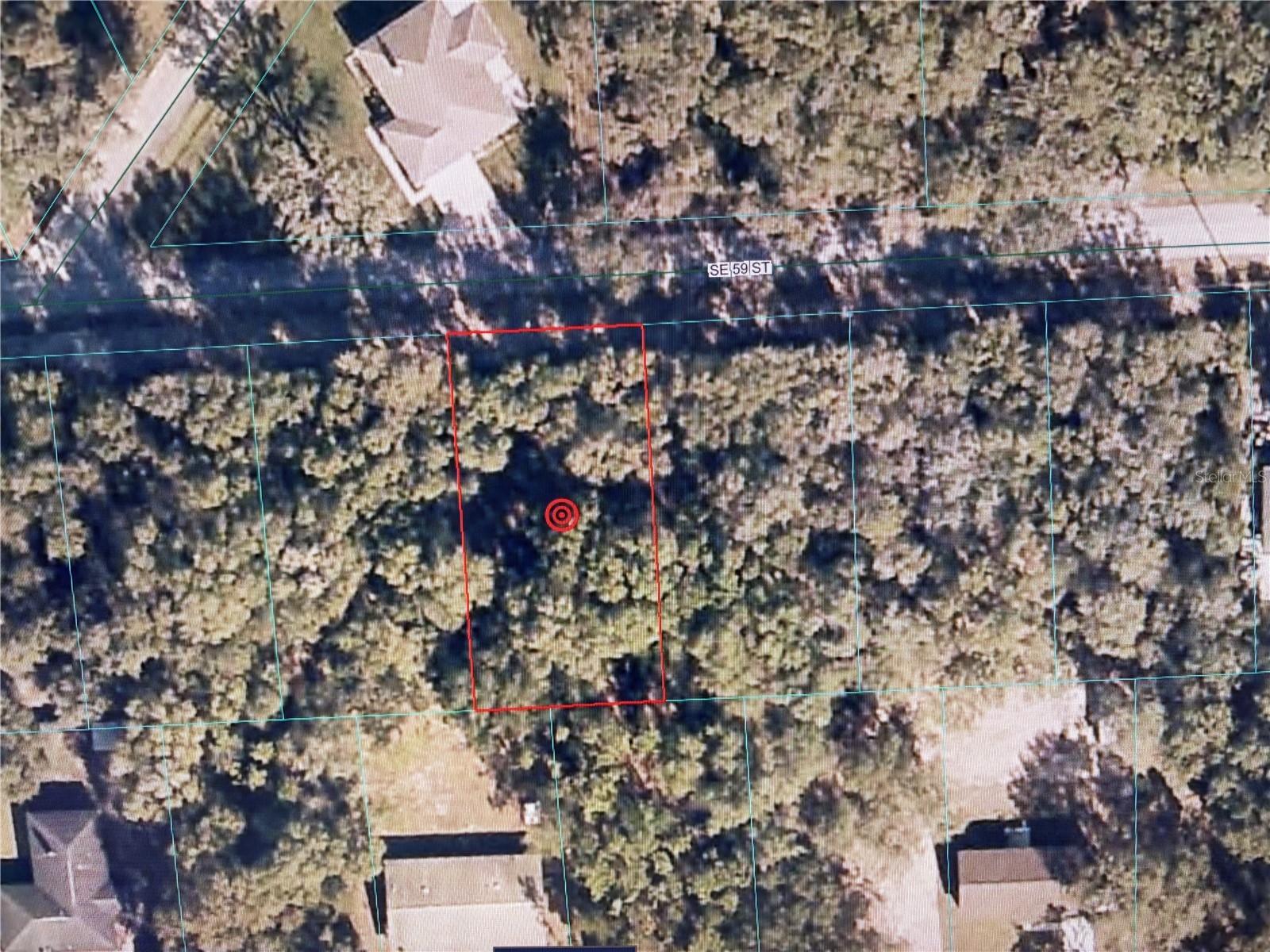 16604 SE 59th Street Ocklawaha FL 32179 OM723342 image1