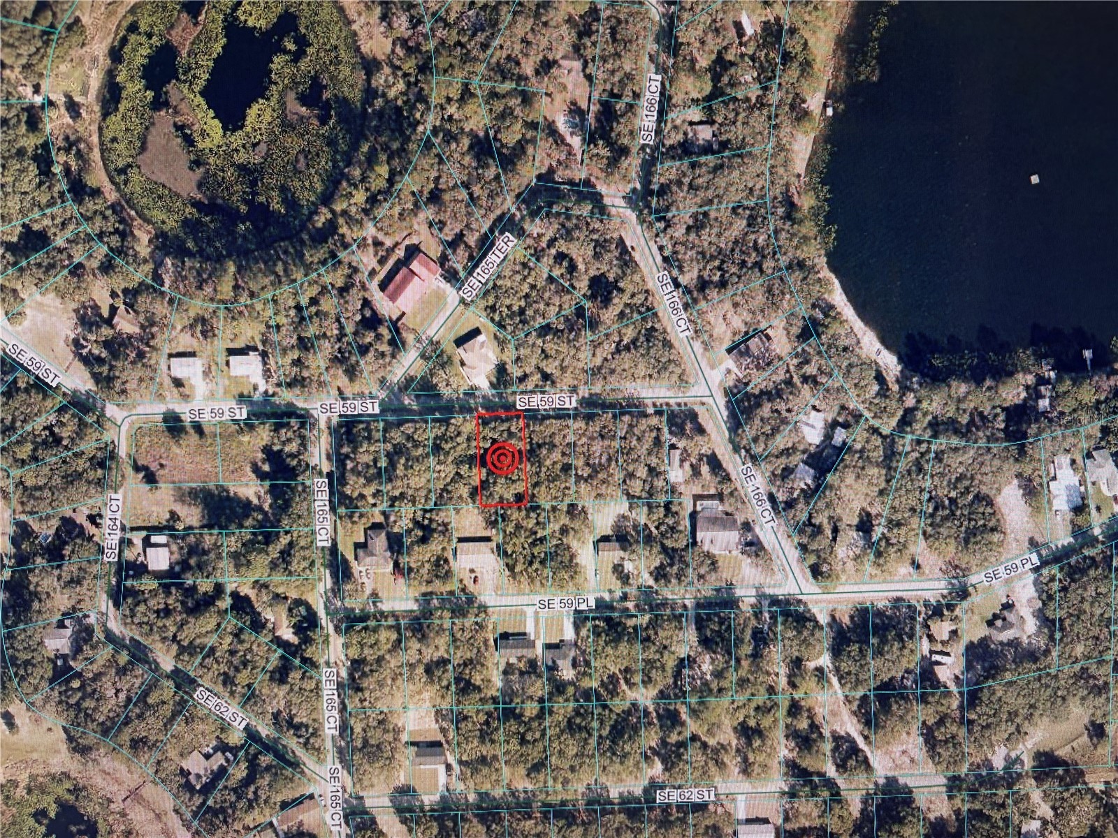 16604 SE 59th Street Ocklawaha FL 32179 OM723342 image3