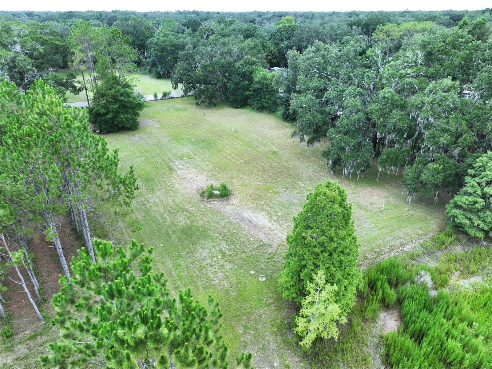 16605 Happy Garden Way Lutz FL 33549 TB8529788 image10