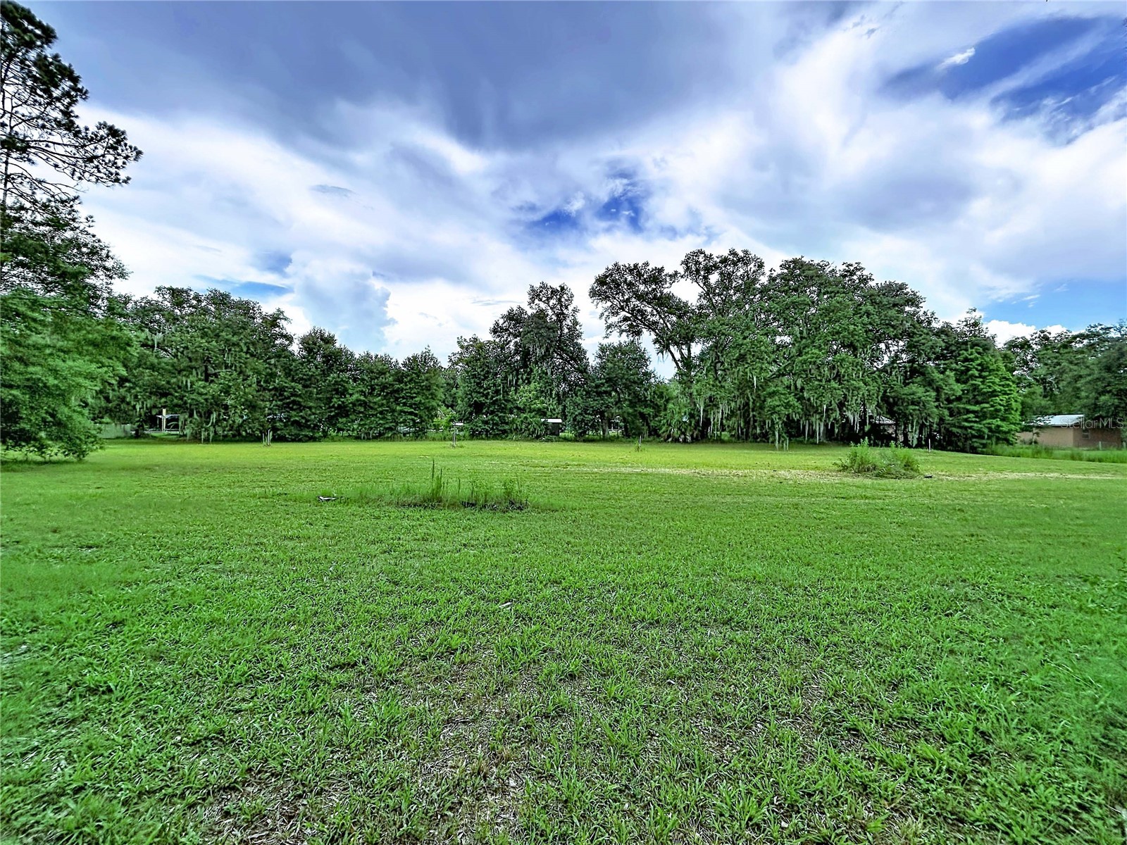 16605 Happy Garden Way Lutz FL 33549 TB8529788 image11
