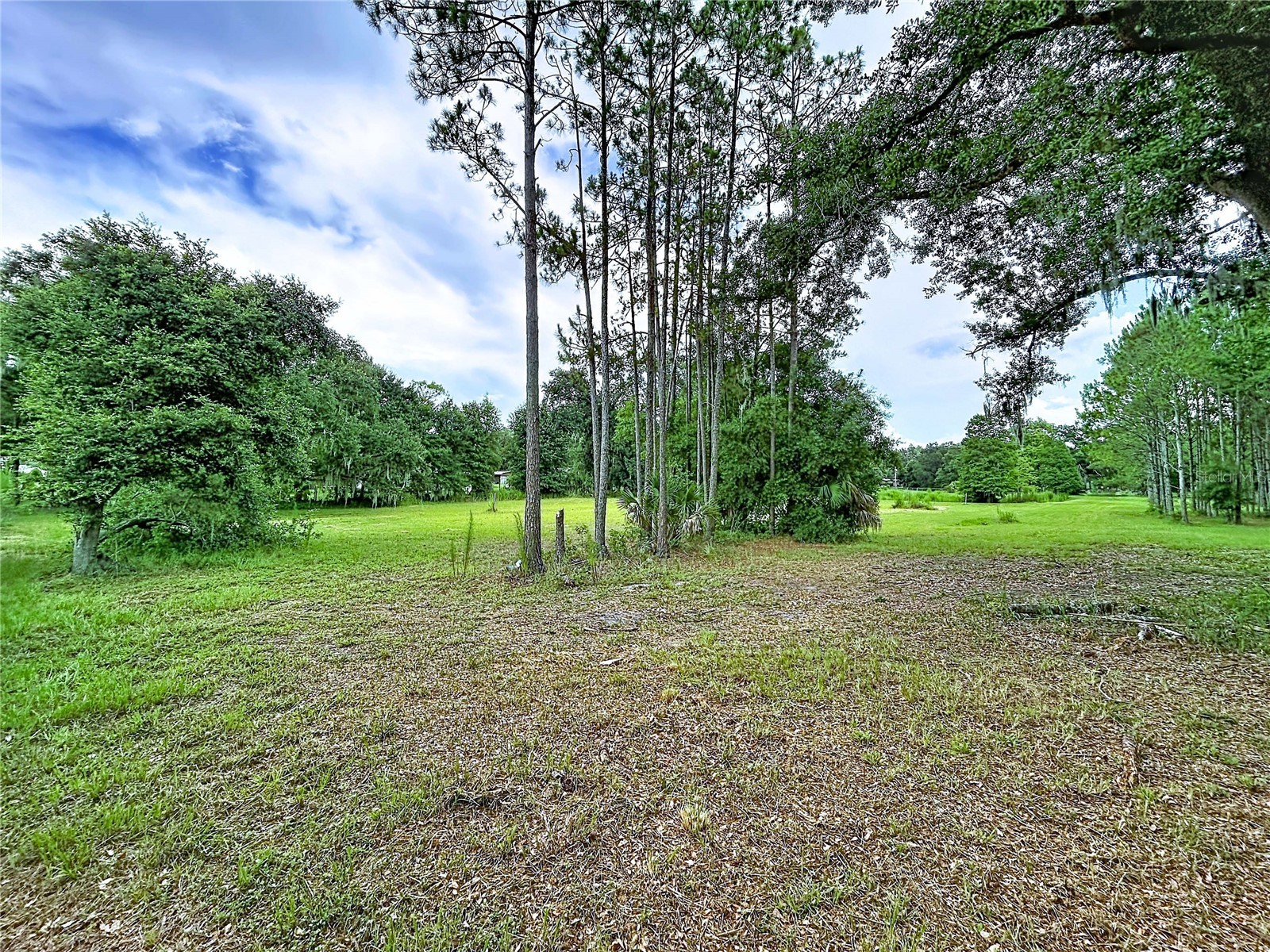 16605 Happy Garden Way Lutz FL 33549 TB8529788 image12