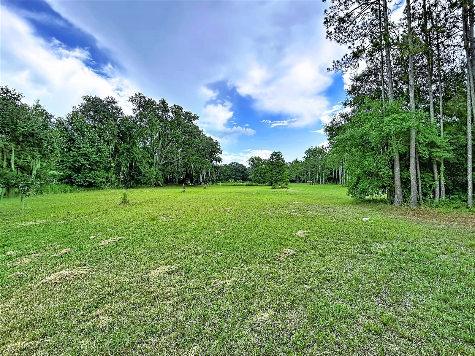 16605 Happy Garden Way Lutz FL 33549 TB8529788 image13