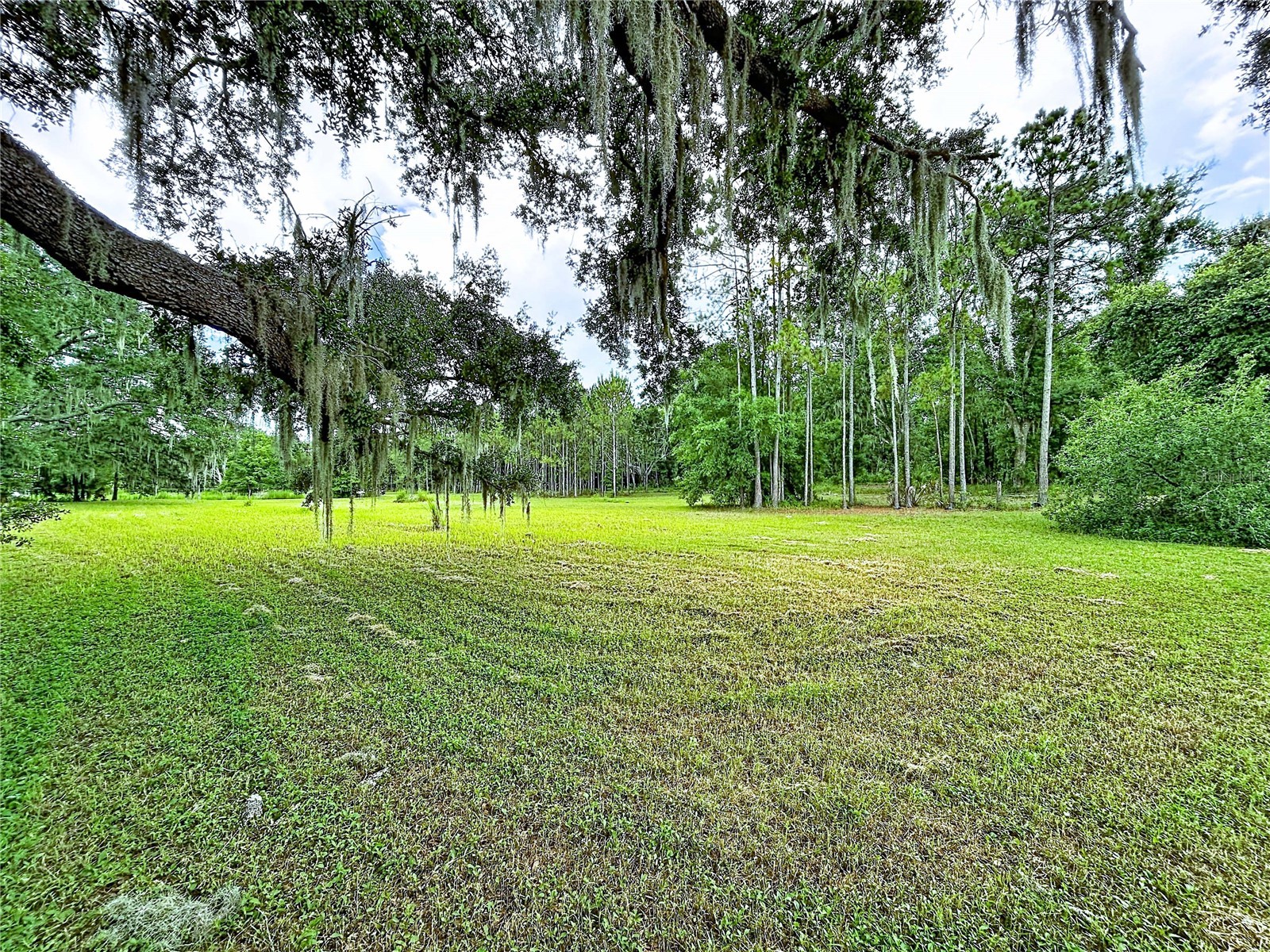 16605 Happy Garden Way Lutz FL 33549 TB8529788 image14