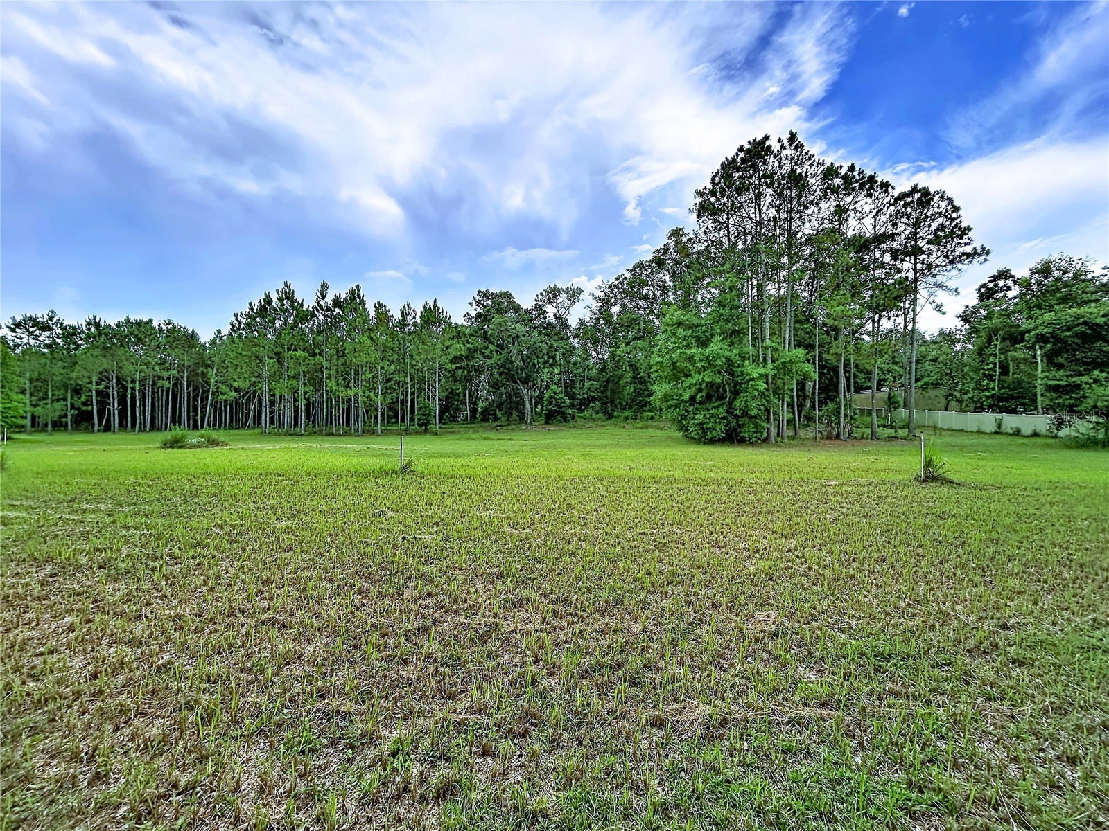 16605 Happy Garden Way Lutz FL 33549 TB8529788 image15