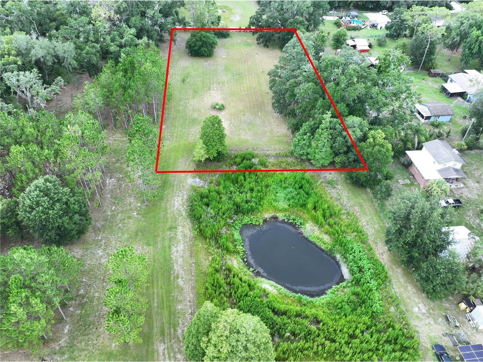 16605 Happy Garden Way Lutz FL 33549 TB8529788 image5