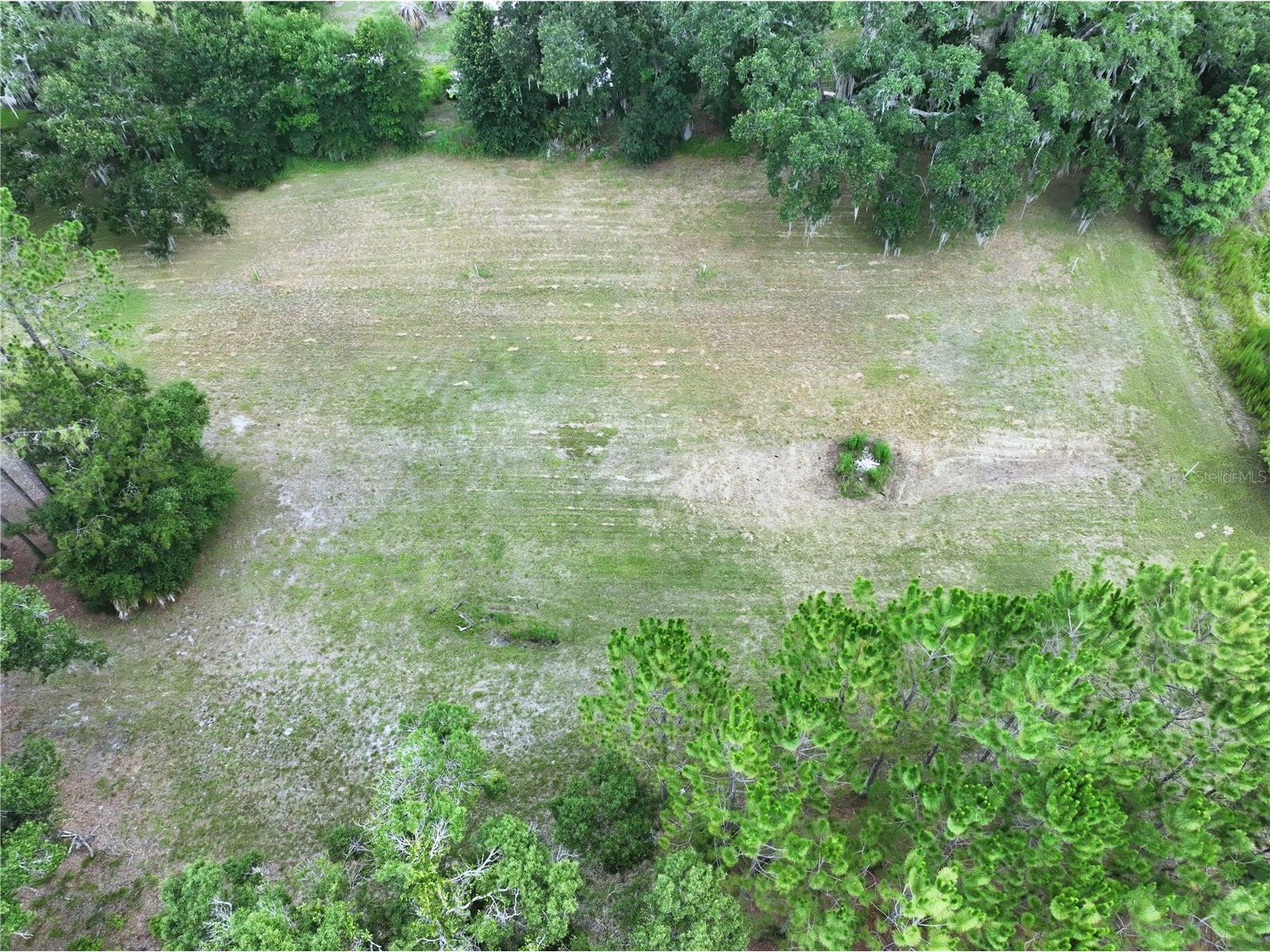 16605 Happy Garden Way Lutz FL 33549 TB8529788 image7