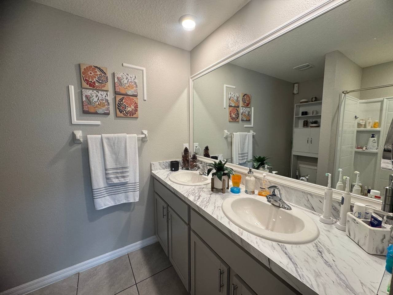 16605 Mosaic Oar Drive Wimauma FL 33598 TB8504945 image14