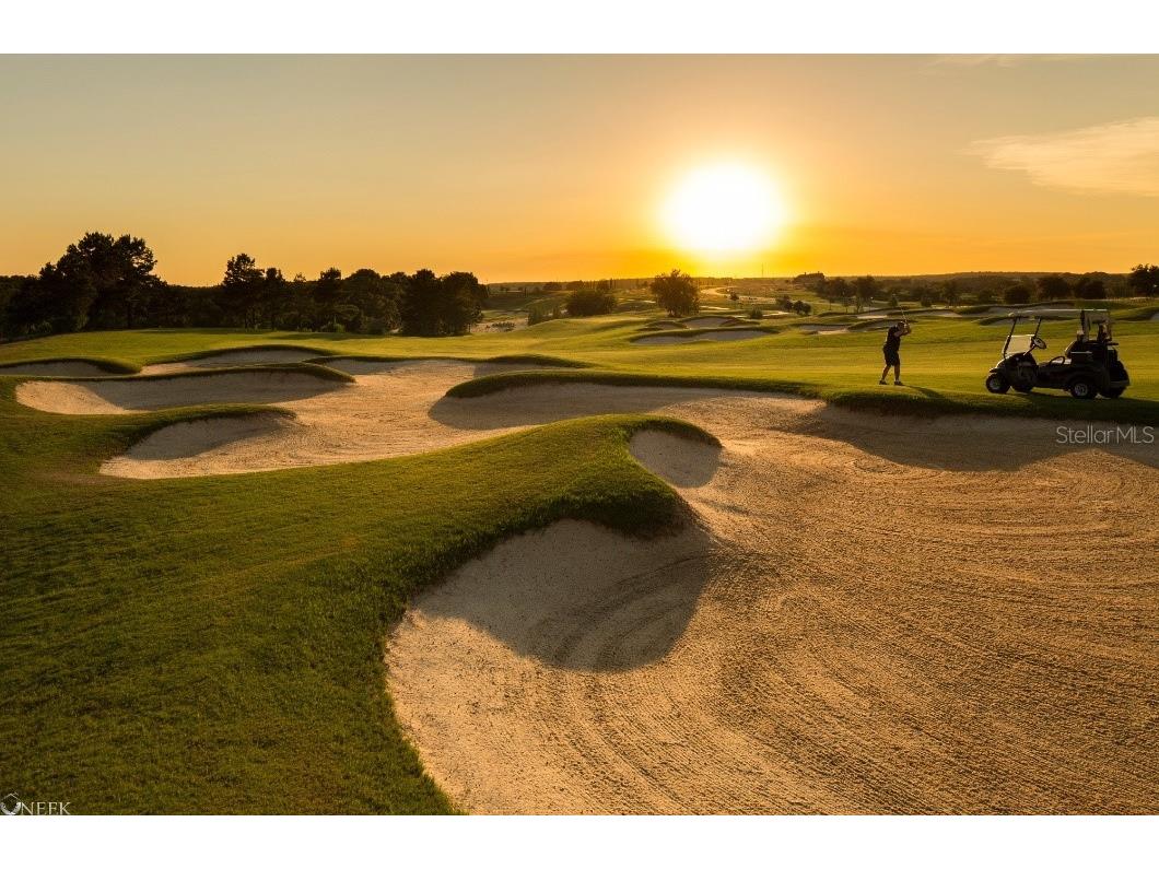 16606 Bolsena Drive Montverde FL 34756 - LAKE SIENA O6336811 image23