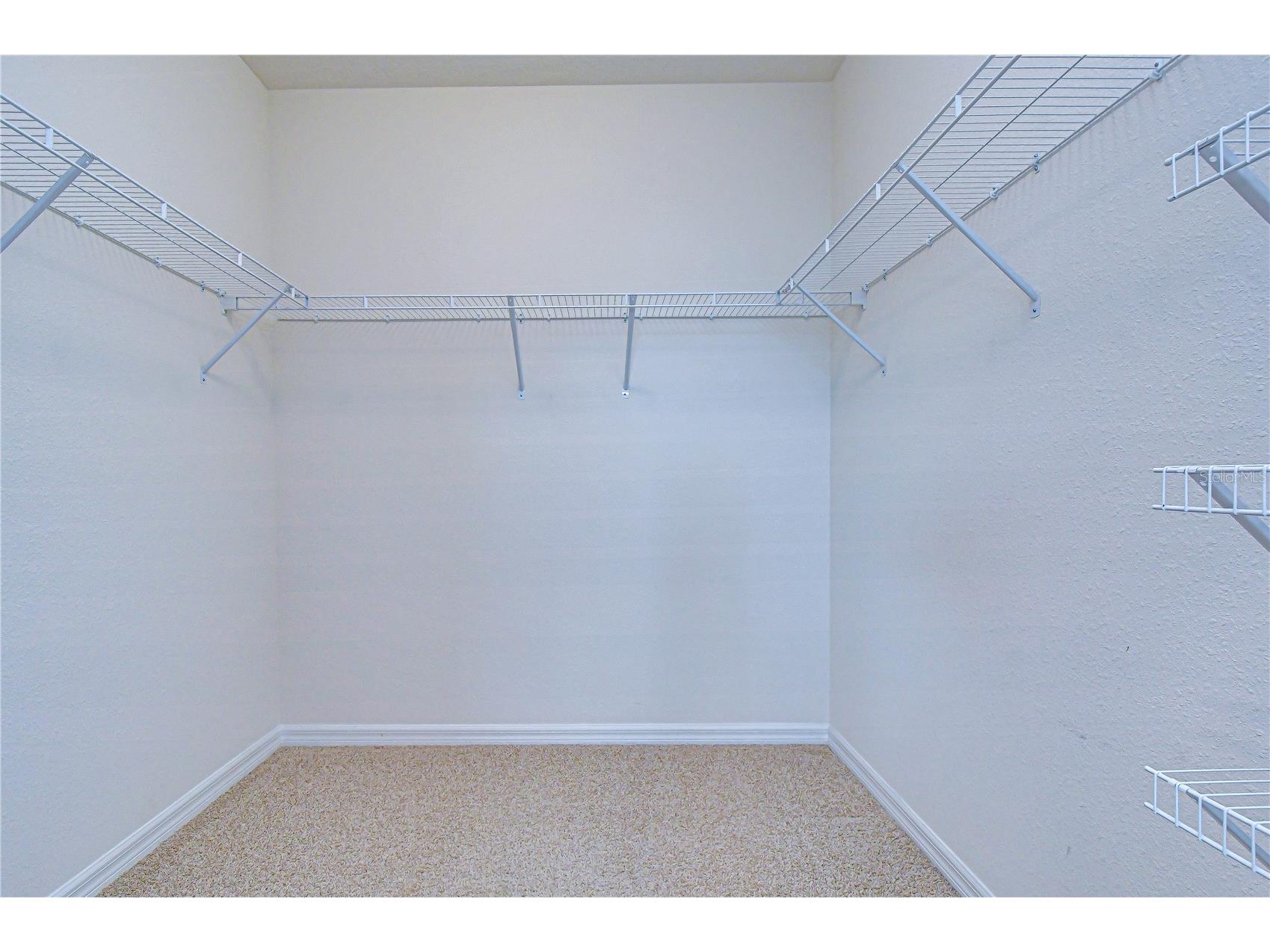 16607 Goose Ribbon Place Wimauma FL 33598 TB8499692 image24