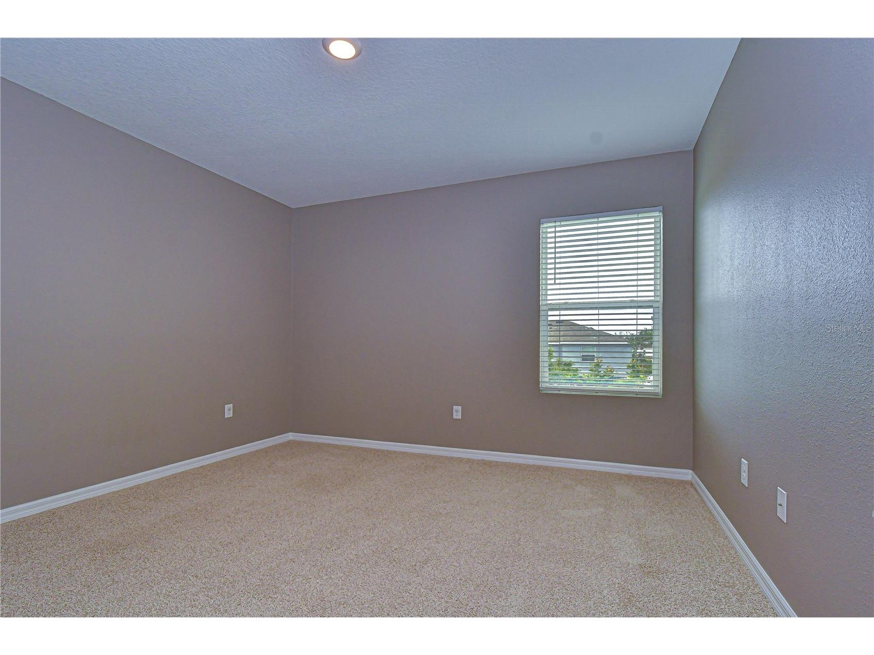 16607 Goose Ribbon Place Wimauma FL 33598 TB8499692 image26