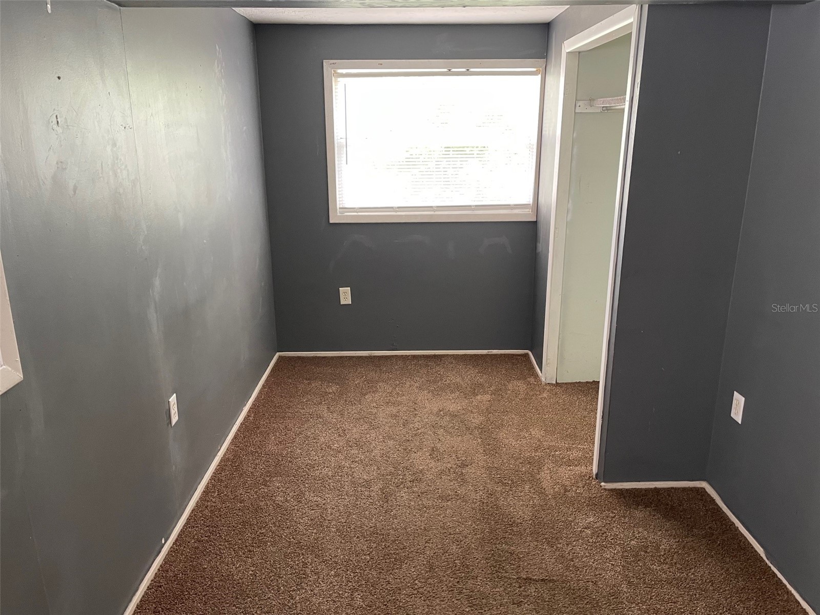 1661 27th Avenue N Saint Petersburg FL 33713 TB8526574 image6