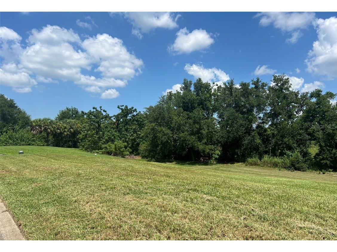 1661 Roberts Landing Road Windermere FL 34786 O6300301 image10