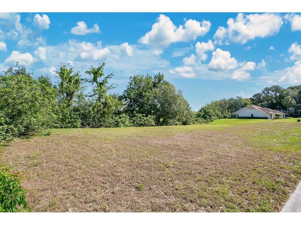 1661 Roberts Landing Road Windermere FL 34786 O6300301 image18