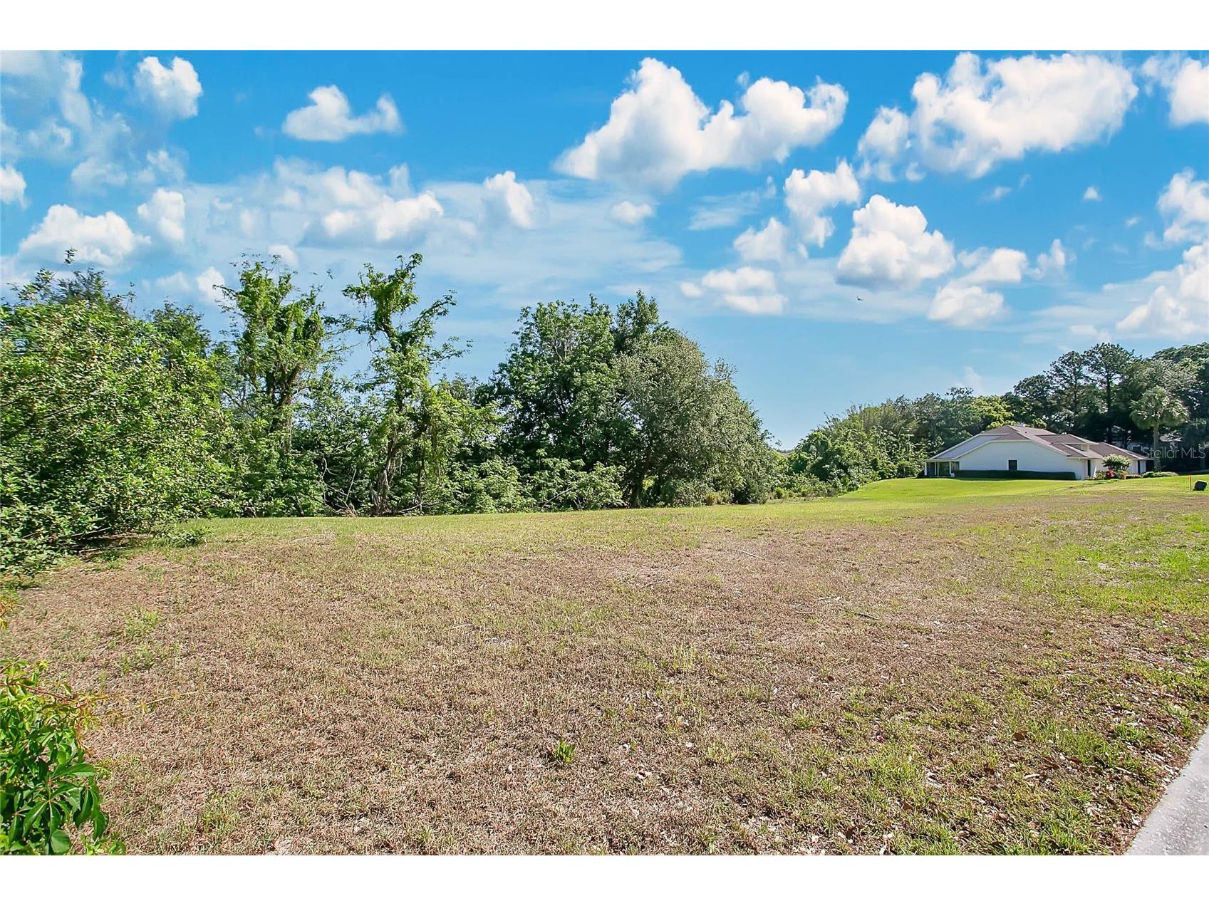 1661 Roberts Landing Road Windermere FL 34786 O6407725 image6
