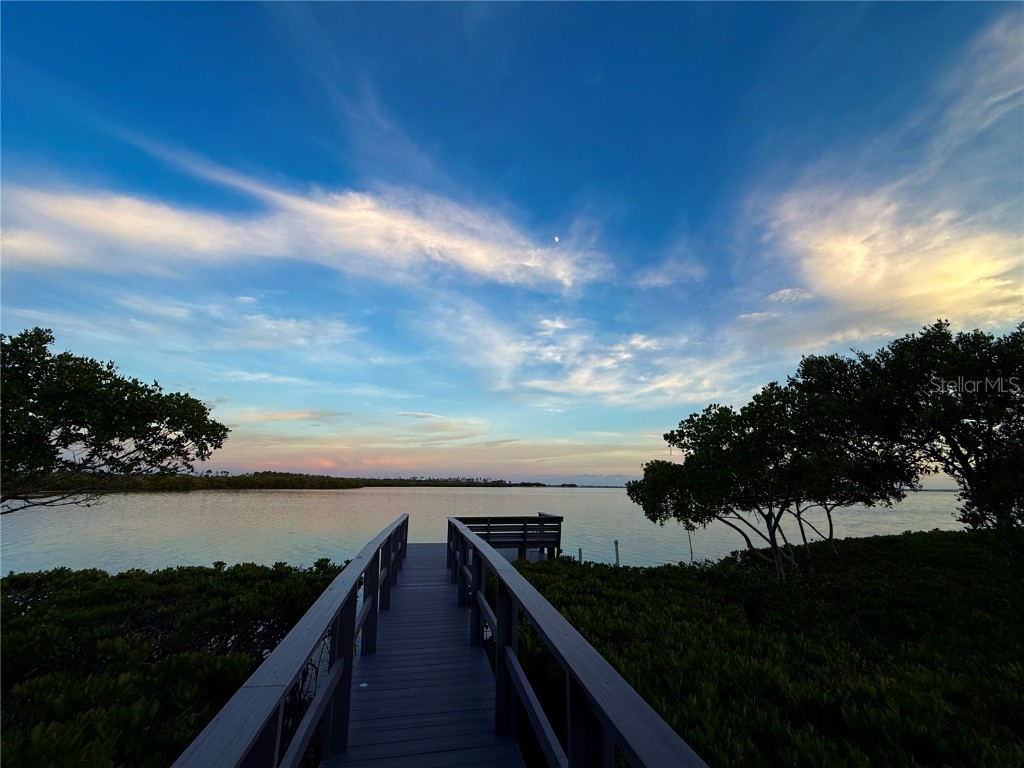 1661 Sea Breeze Drive Tarpon Springs FL 34689 TB8375405 image5