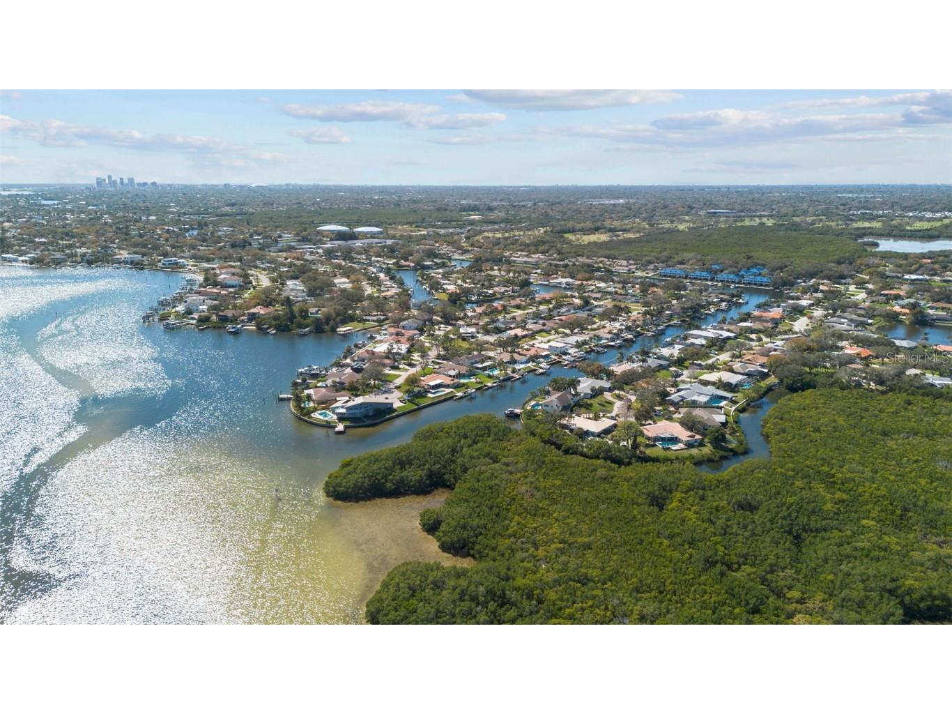 1661 Watermark Circle NE #C Saint Petersburg FL 33702 TB8300811 image36