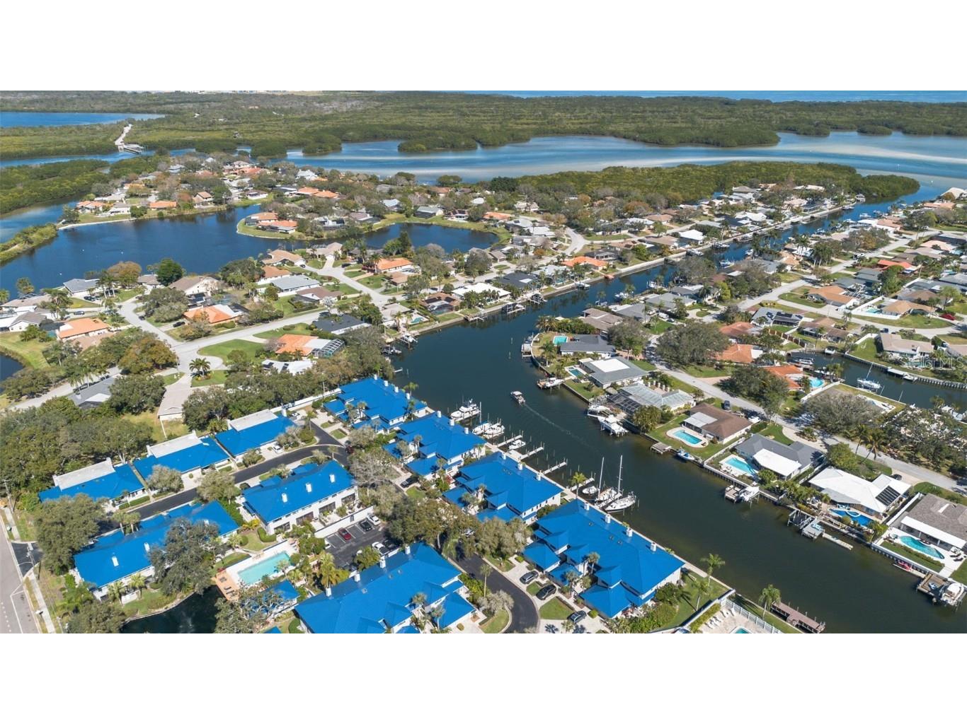 1661 Watermark Circle NE #C Saint Petersburg FL 33702 TB8300811 image38