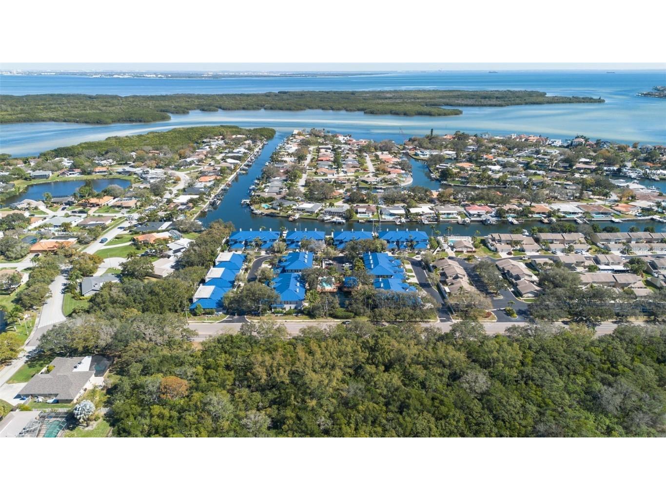 1661 Watermark Circle NE #C Saint Petersburg FL 33702 TB8300811 image40