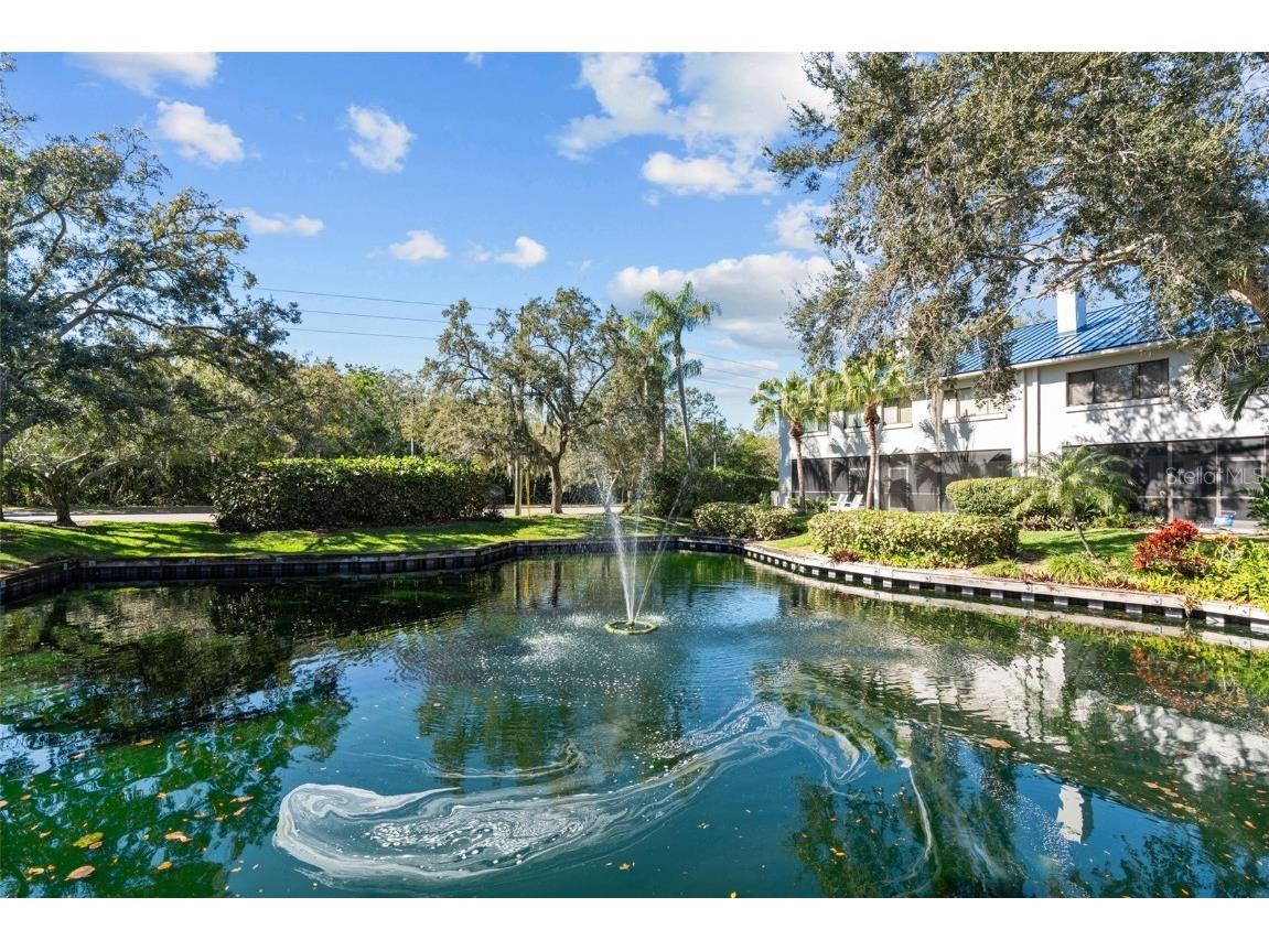 1661 Watermark Circle NE #C Saint Petersburg FL 33702 TB8300811 image44