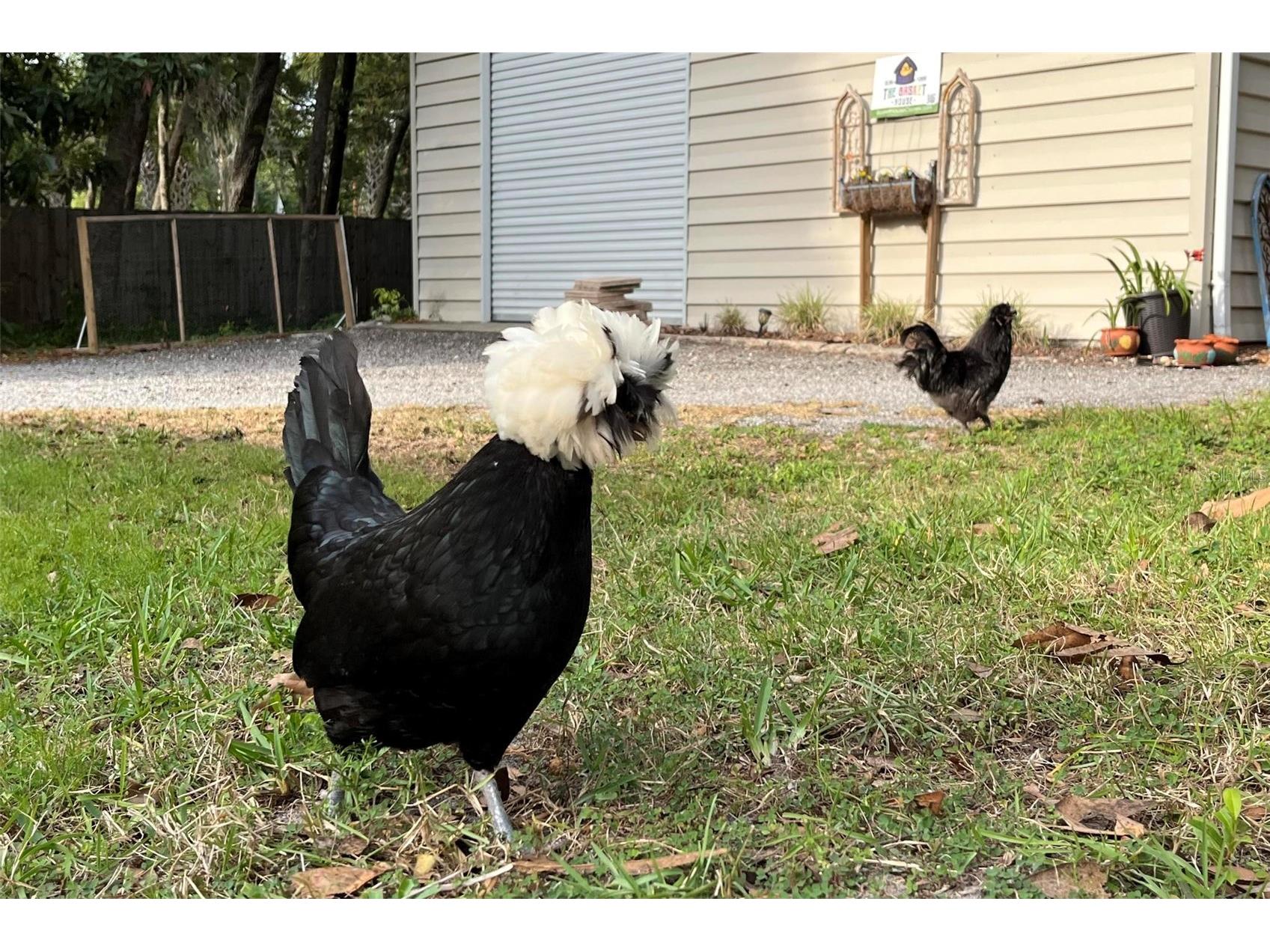 1661 Wondering Oak Lane Deland FL 32720 V4948817 image65