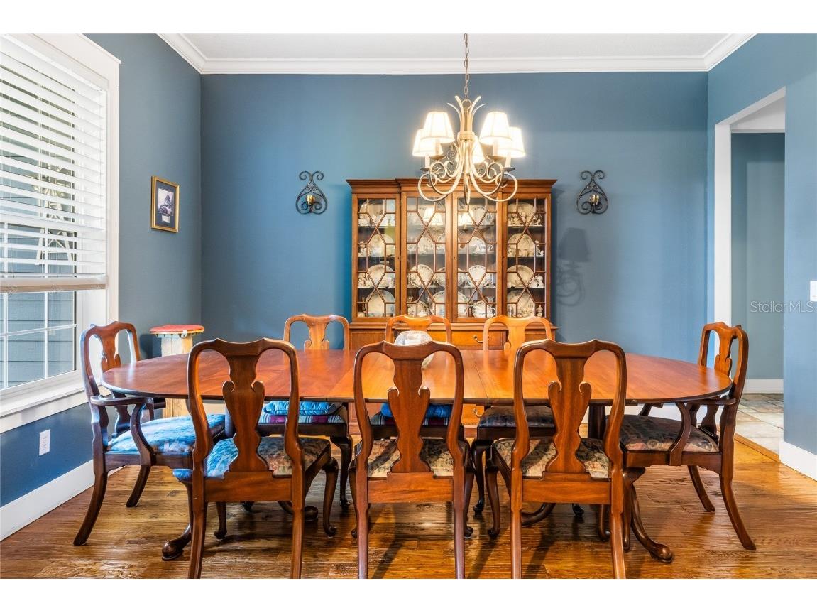 16610 County Line Road Umatilla FL 32784 - Island Lake O6318962 image8