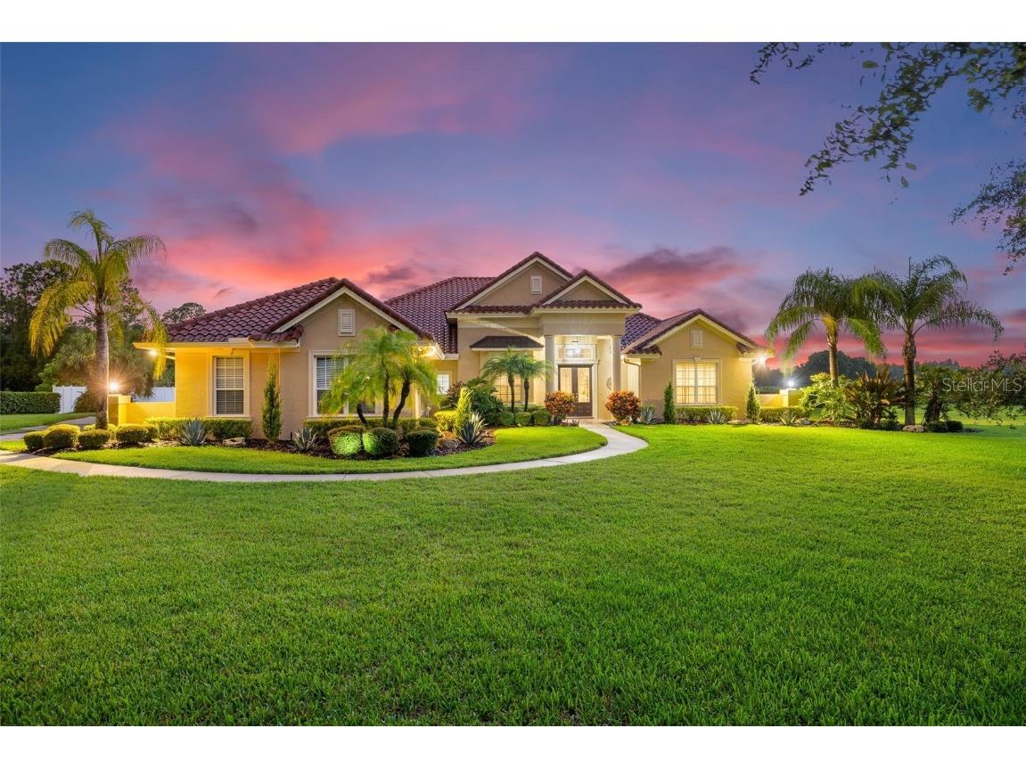 16610 Sounding Shores Drive Odessa FL 33556 T3539113 image1