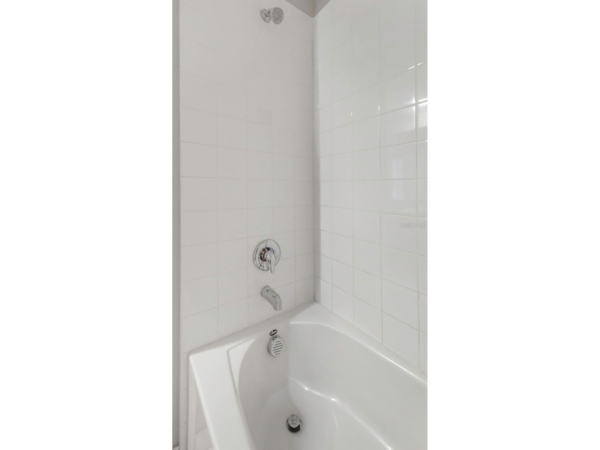 16612 Carlton Pond Street Wimauma FL 33598 TB8464074 image10