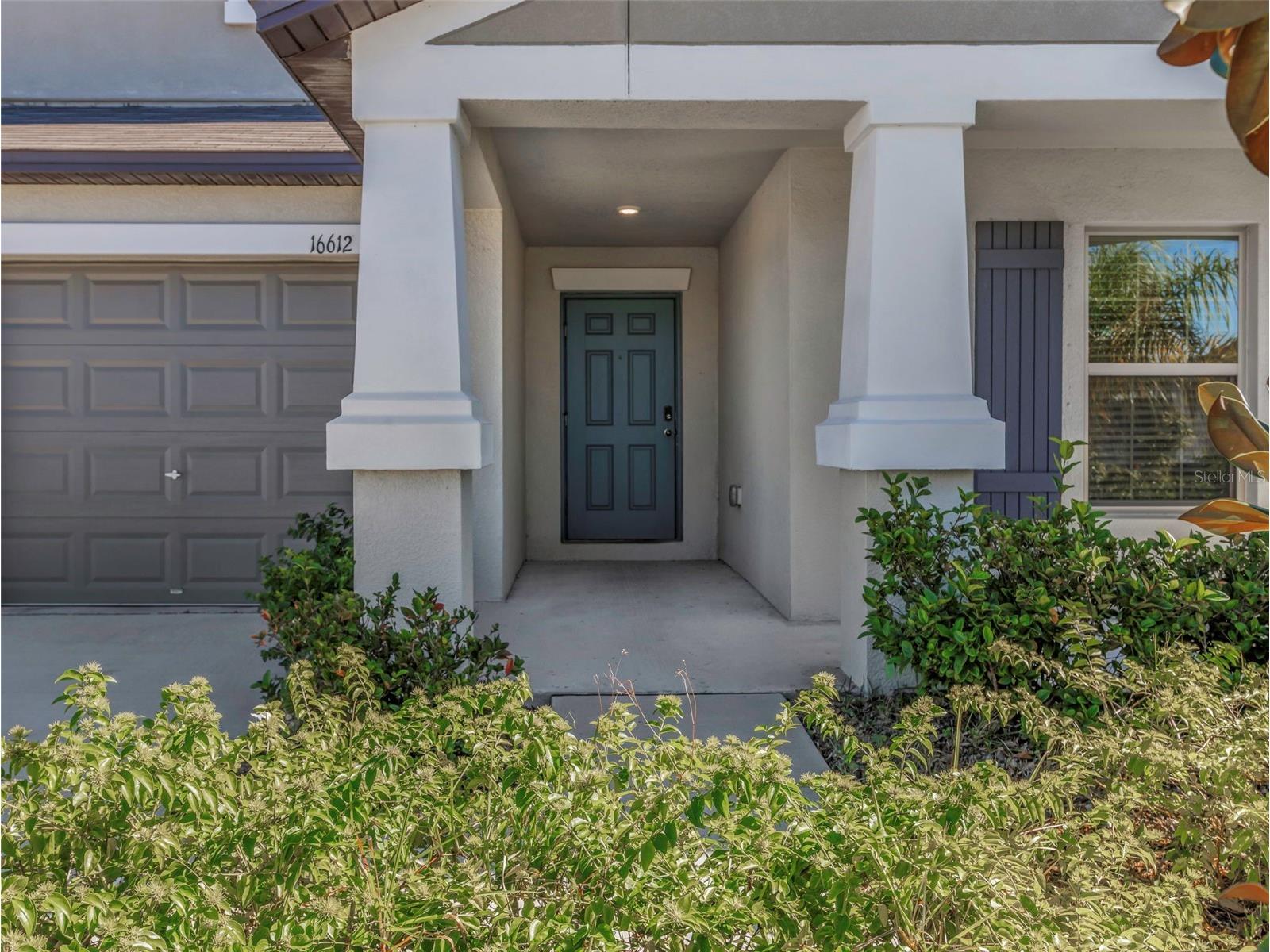 16612 Carlton Pond Street Wimauma FL 33598 TB8464074 image3