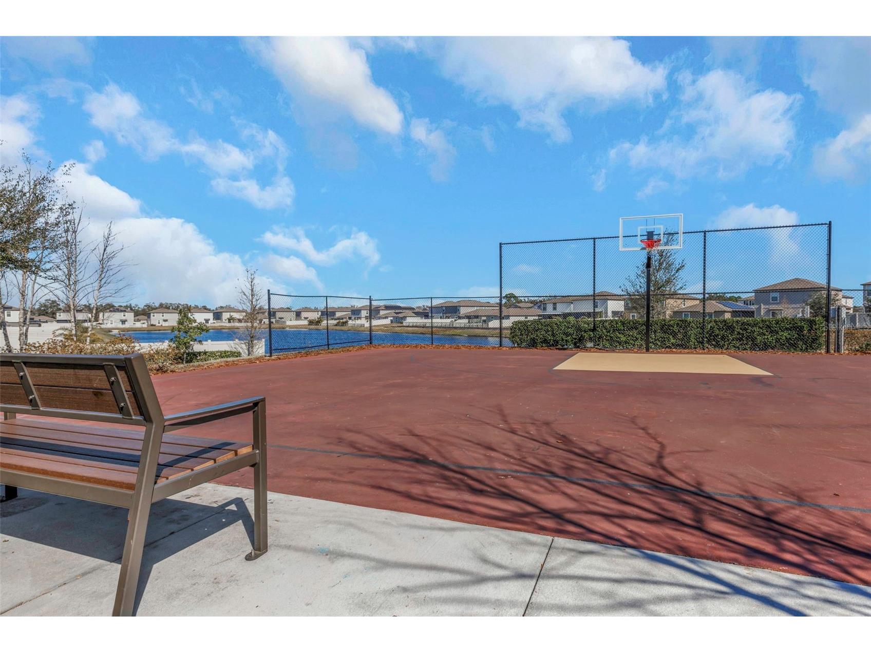 16612 Carlton Pond Street Wimauma FL 33598 TB8464074 image56