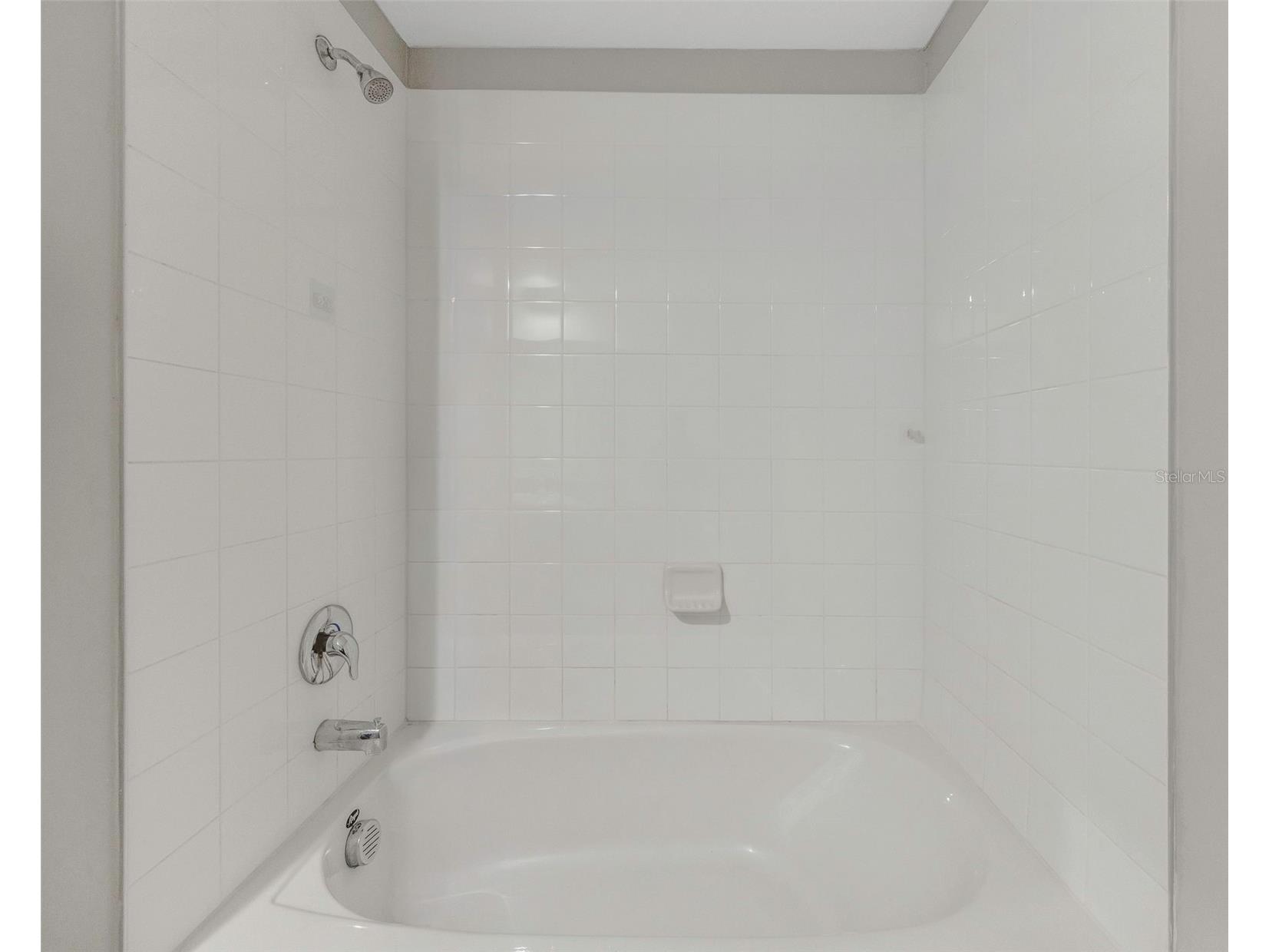 16612 Carlton Pond Street Wimauma FL 33598 TB8464074 image9