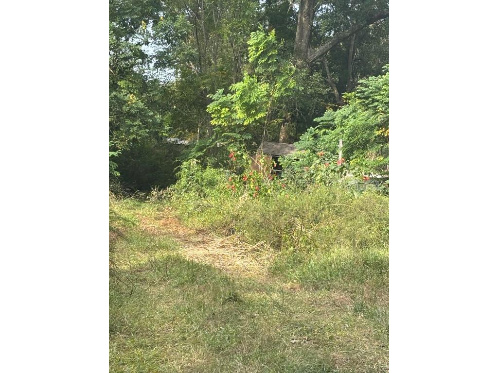 16612 SE 25th Avenue Summerfield FL 34491 O6251287 image1