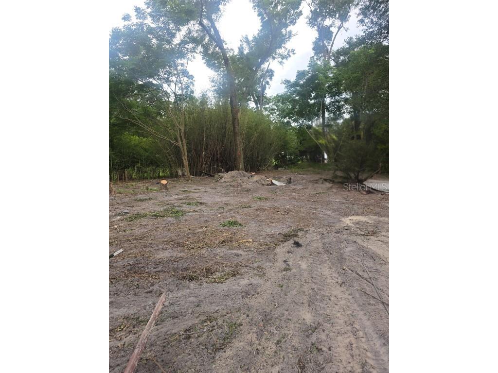 16612 SE 25th Avenue Summerfield FL 34491 O6340659 image1