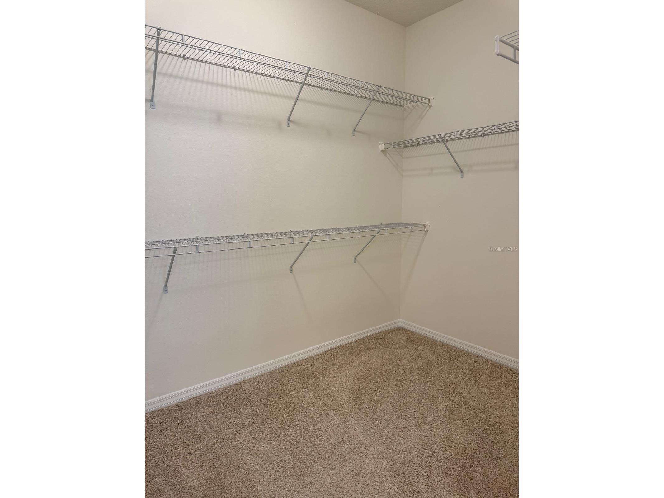 16613 Point Rock Drive Winter Garden FL 34787 R4910718 image6