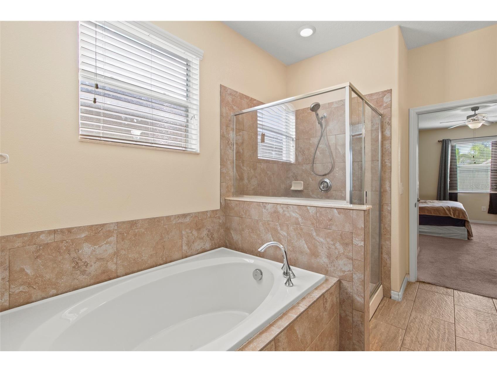 16614 Myrtle Sand Drive Wimauma FL 33598 A4667651 image11