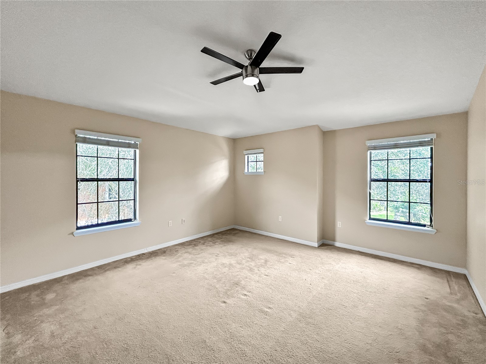 16615 Kingletside Court Lithia FL 33547 TB8507951 image21