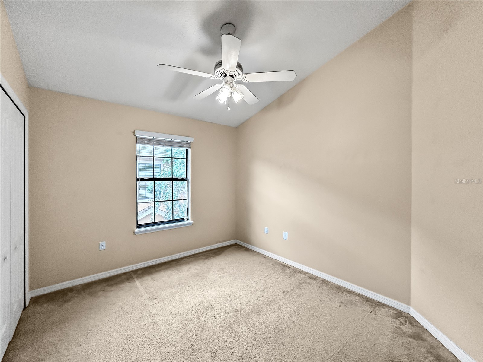 16615 Kingletside Court Lithia FL 33547 TB8507951 image23