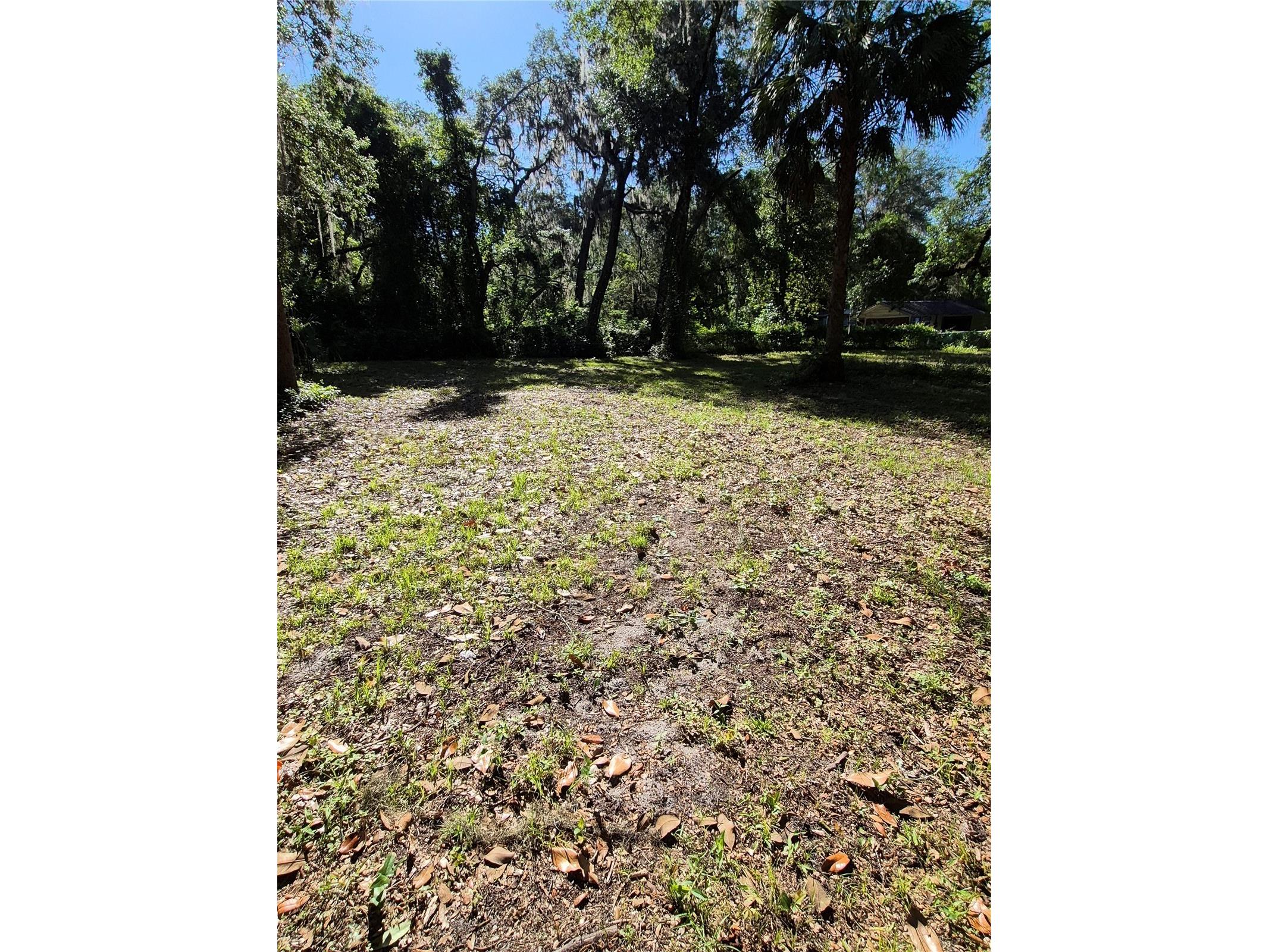 16615 NE 45th Court Citra FL 32113 GC540348 image3