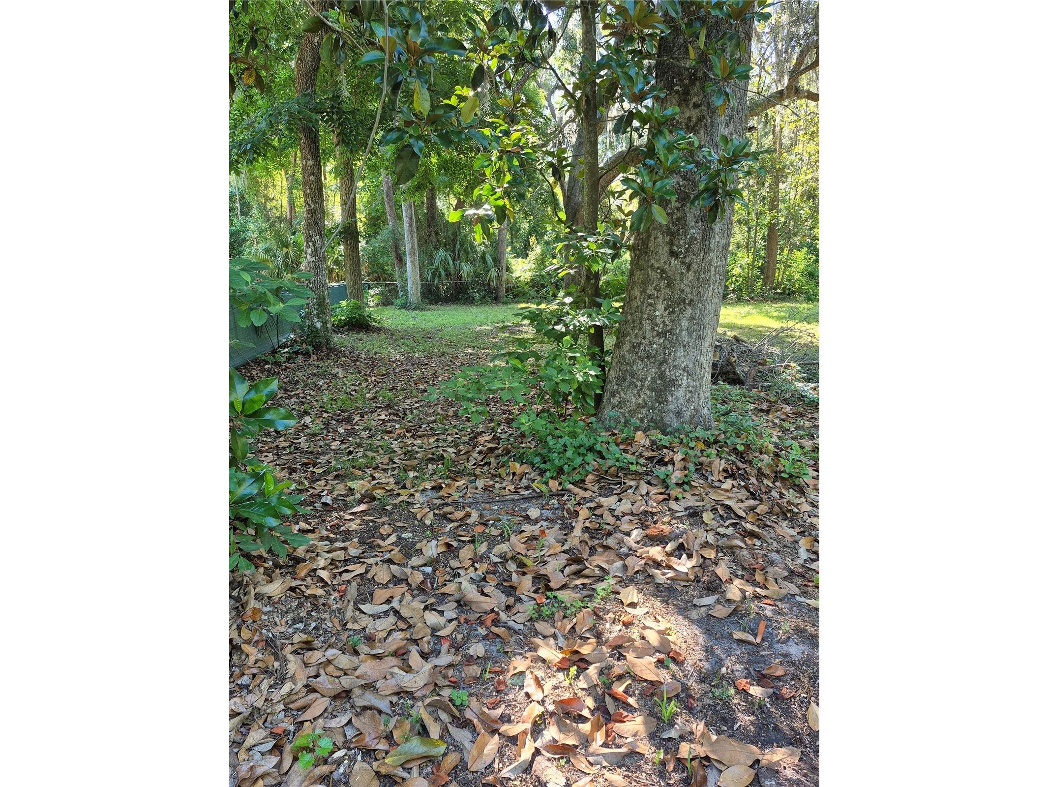 16615 NE 45th Court Citra FL 32113 GC540348 image5